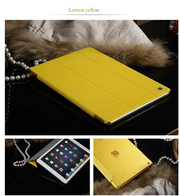 Top And Cool Cheap iPad Air Covers And Cases IPC04_24