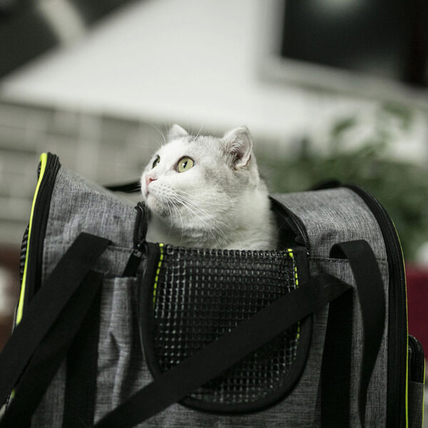 Breathable Three-in-one Cat Portable Backpack MFB33_7